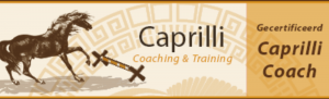 caprilli paardencoaching