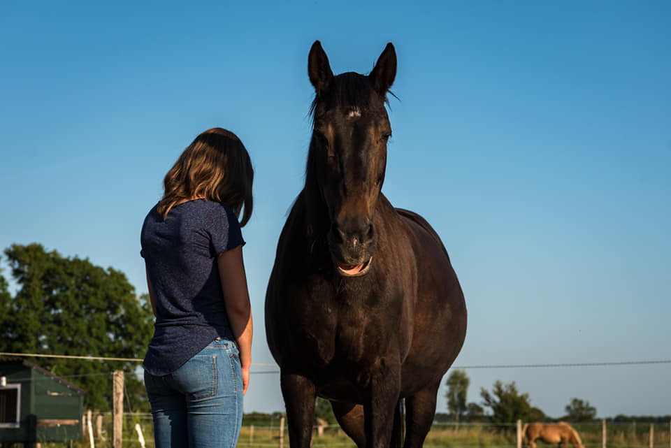 paardencoaching en familieopstellingen zeeland
