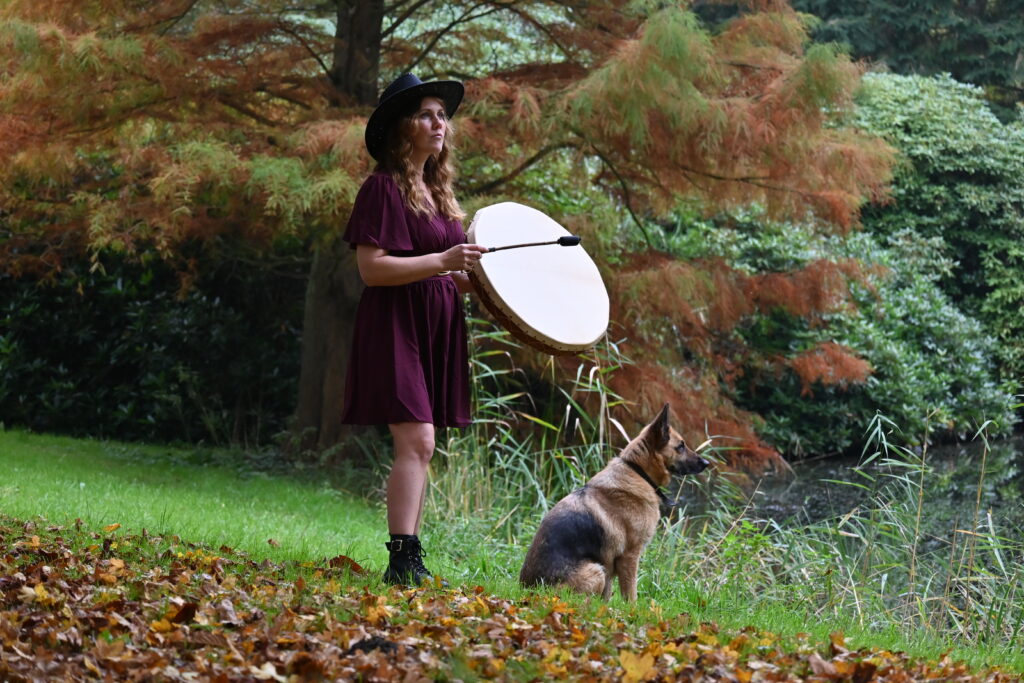 paarden en familieopstellingen in zeeland