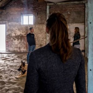 Paardencoach familieopstellingen zeeland