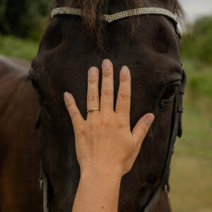 retraite retreat zeeland