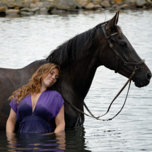 familieopstellingen en paardencoaching in zeeland