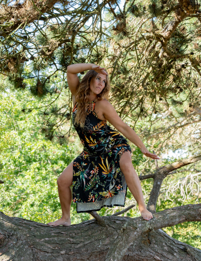 paardencoaching zeeland familieopstellingen